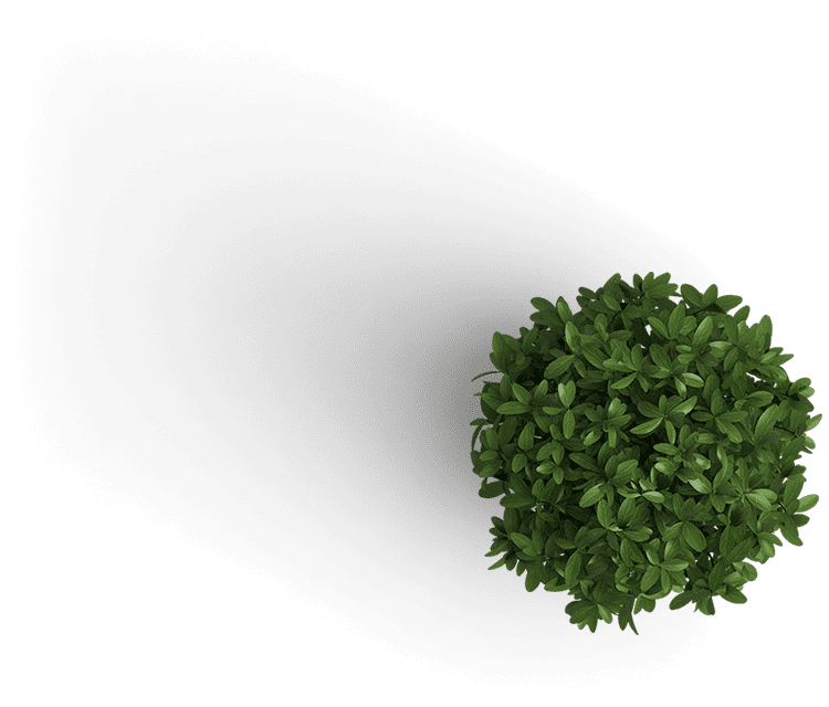 plant.png